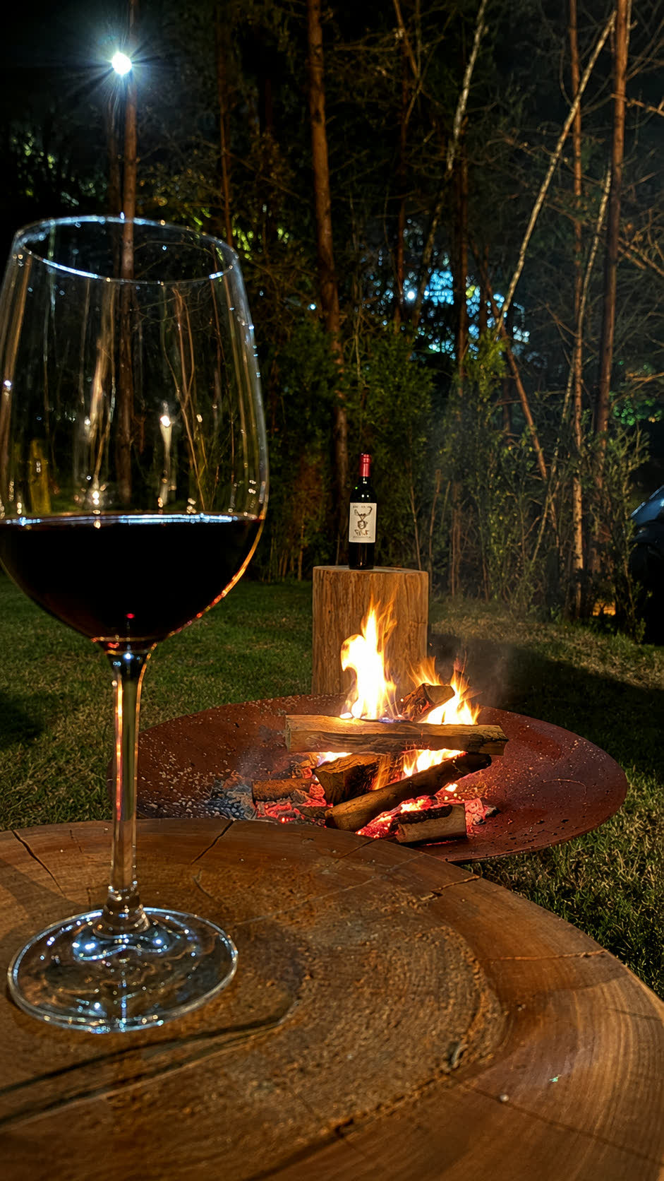 Taça de vinho sobre um tronco, com o firepit aceso ao fundo à noite